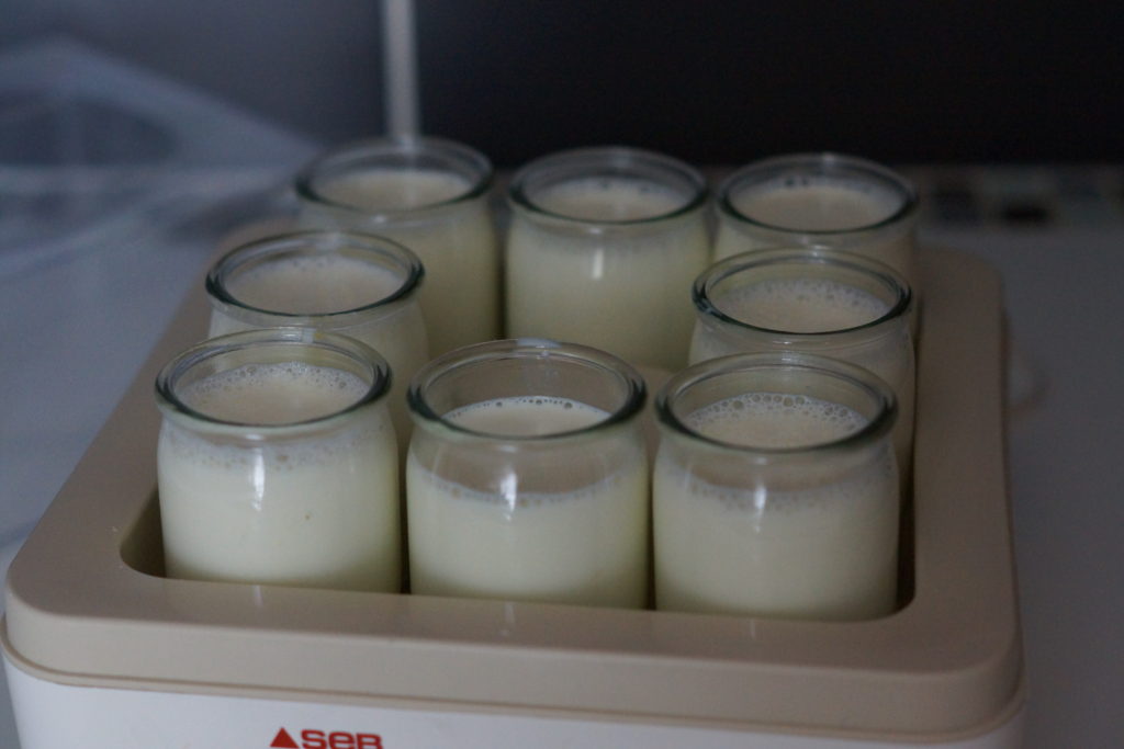 Mélange pour yaourts maison versé dans les pots en verre de la yaourtière SEB